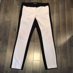 Express dress pant